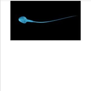 God Sperm